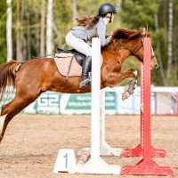 Champion pony