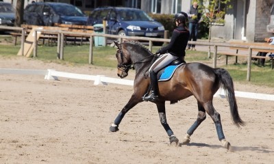 Don Rasson - FOR SALE
