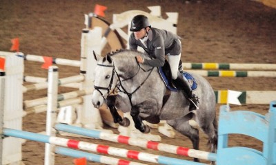 Adriana - 6 y.o. mare for showjumping.