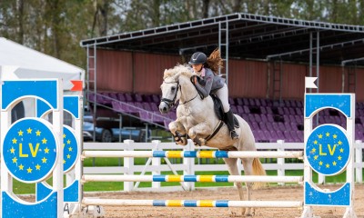 Conemara sport pony