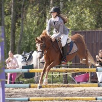 Sport pony