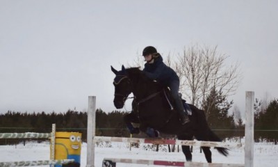 Sportponi Moonlite Melody 