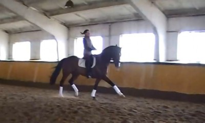 SALE Dressage St.Georg chestnut mare-2009