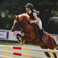Champion pony